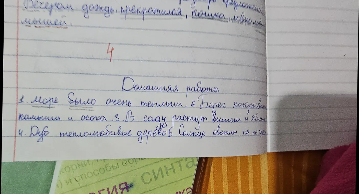 Выполни синтаксический разбор предложения 'Море было очень теплым, а берег покрывали камыши и осока'