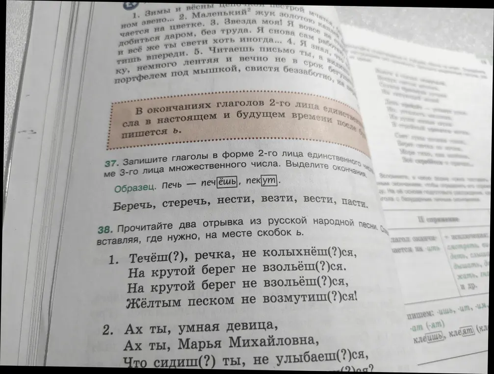 В упражнении 38 в отрывках из русской народной песни нужно вставить, где нужно, на месте скобок мягкий знак.