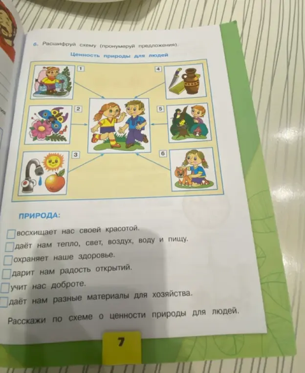 Расшифруй схему и пронумеруй предложения
