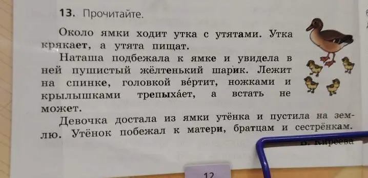 Прочитай текст
