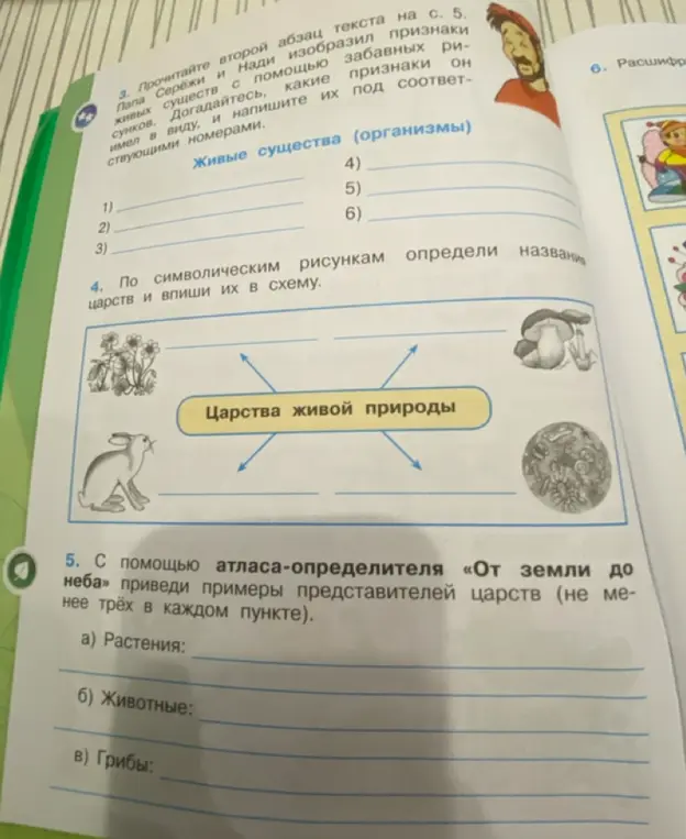 Приведи примеры представителей царств (не менее трёх в каждом пункте): растения, животные и грибы