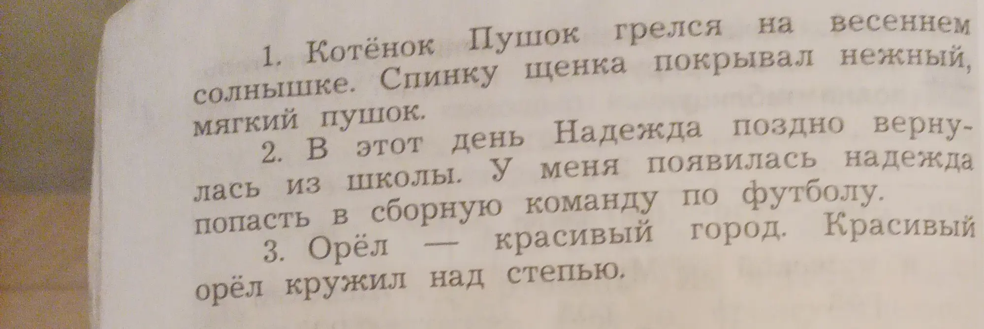 Выпиши из предложений омонимы.