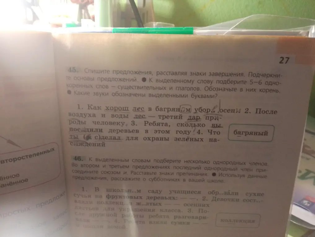 Выполни упражнение: спиши предложения, расставляя знаки завершения, подчеркни основы предложений, к выделенному слову подбери 5-6 однокоренных слов, обозначь в них корень, определи, какие звуки обозначены выделенными буквами.