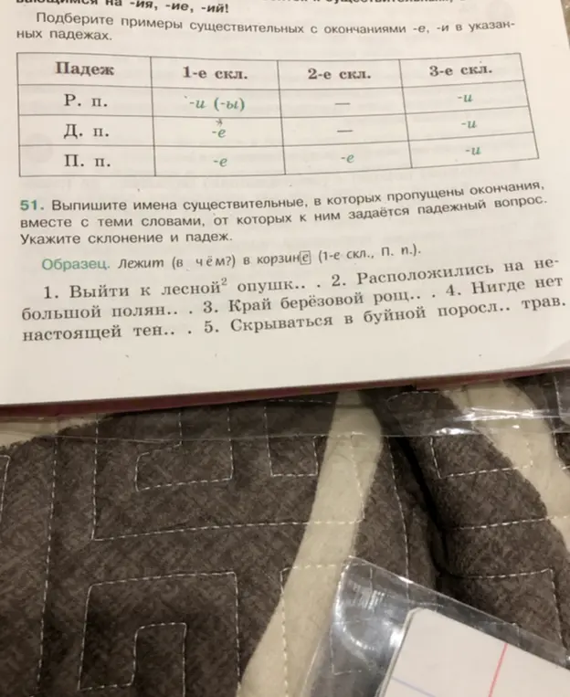 Выпиши имена существительные, в которых пропущены окончания, вместе с теми словами, от которых к ним задаётся падежный вопрос. Укажи склонение и падеж (пример 1)