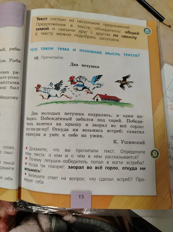 Докажи, что ты прочитал текст, и определи тему текста: о ком и о чём в нём рассказывается?