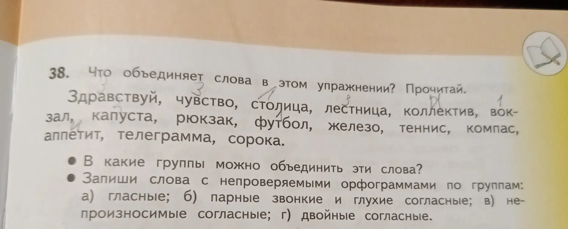 Выполни для меня упражнение 38. Запиши слова с непроверяемыми орфограммами по группам: а) гласные; б) парные звонкие и глухие согласные; в) непроизносимые согласные; г) двойные согласные.
