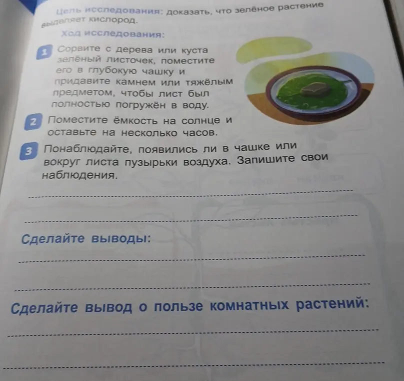 Помоги сделать выводы из исследования о выделении кислорода зеленым растением и о пользе комнатных растений
