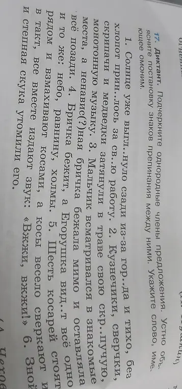 Подчеркни однородные члены предложения и устно объясни постановку знаков препинания между ними. Укажи слово, имеющее омоним.