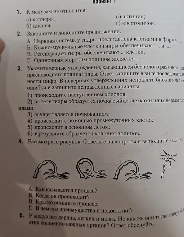 Можешь ответить на вопросы по биологии: 1. К медузам не относится: а) корнерот; б) цианея; в) актиния; г) крестовичок.