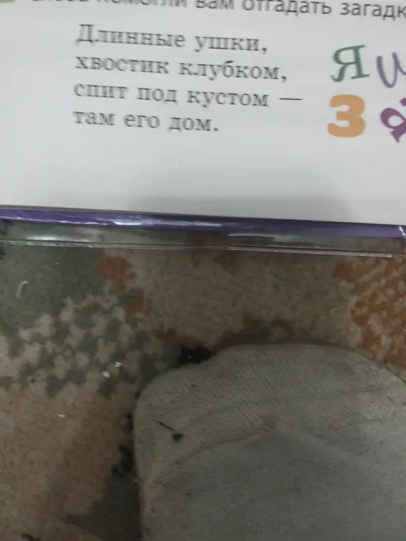 Предложи мне отгадать загадку про длинные ушки, хвостик клубком.