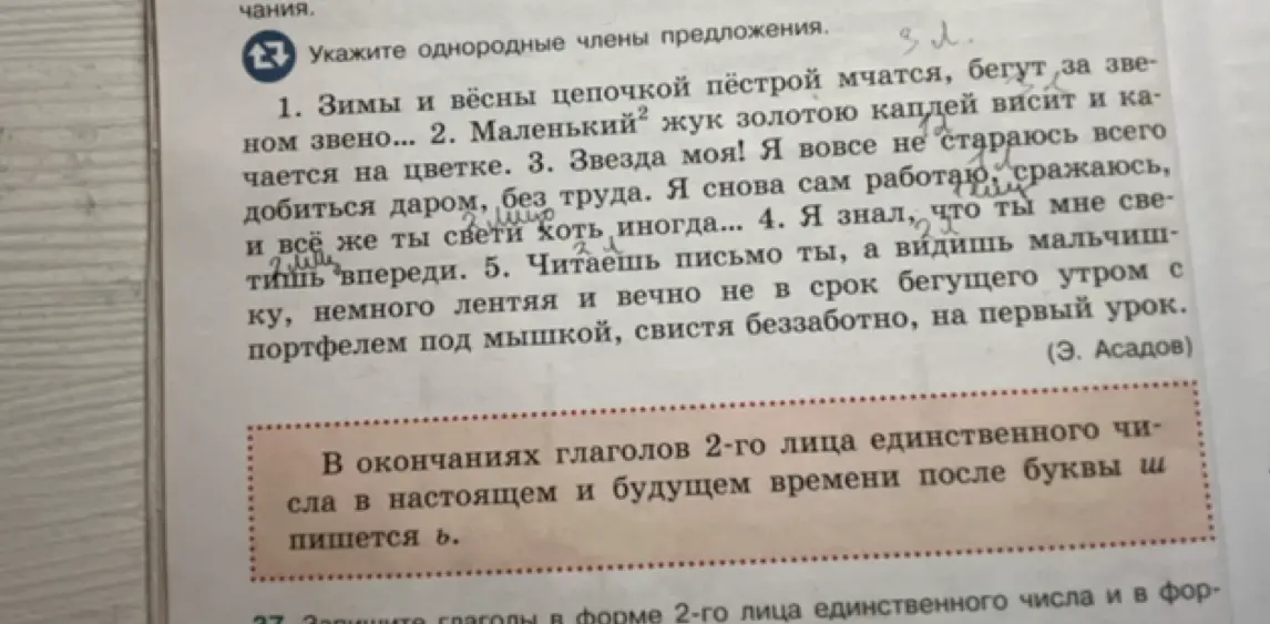 Укажи однородные члены предложения в тексте.