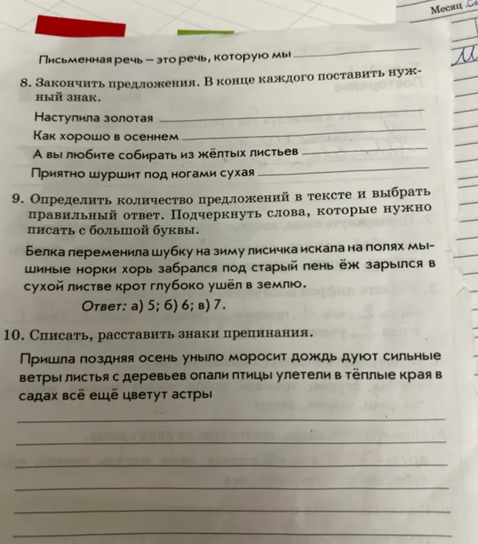 Предлагаешь закончить предложения, определить количество предложений в тексте и расставить знаки препинания.