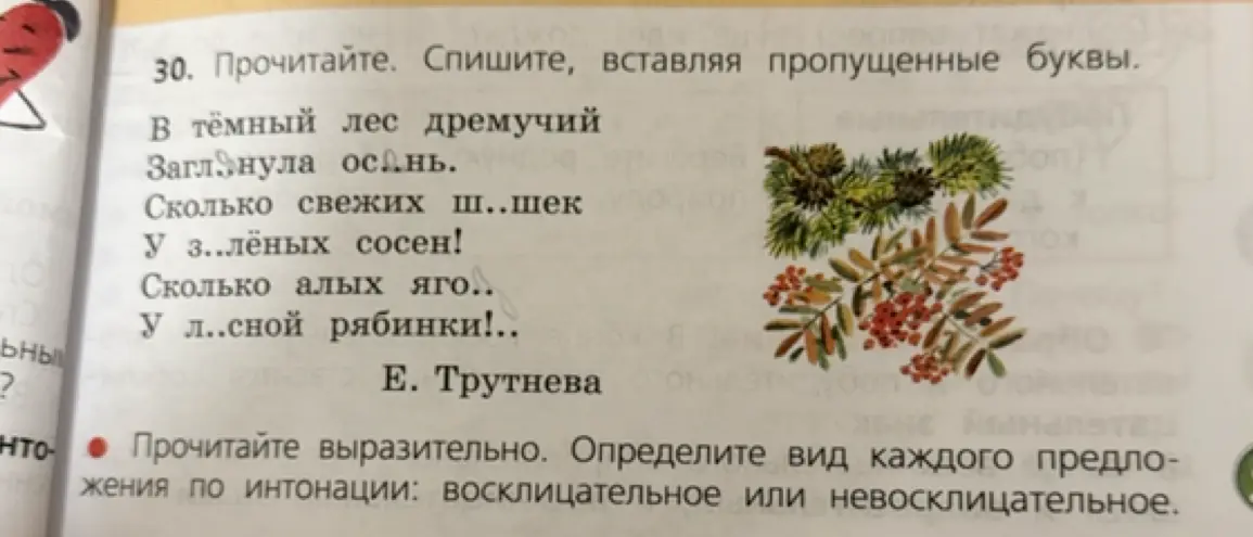 Ты просишь дать характеристику каждому предложению из текста, определить вид предложения по интонации: восклицательное или невосклицательное