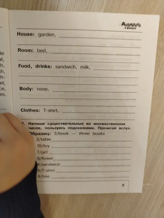 Помоги написать существительные во множественном числе, пользуясь подсказками