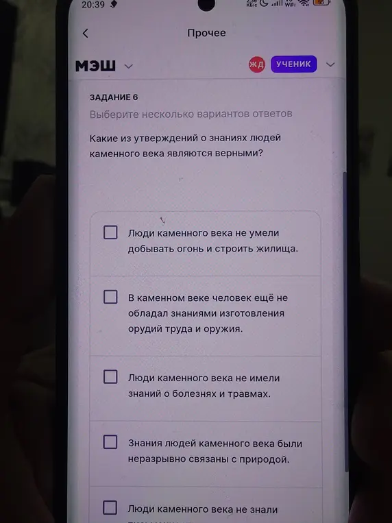 Какие из утверждений о знаниях людей каменного века являются верными?