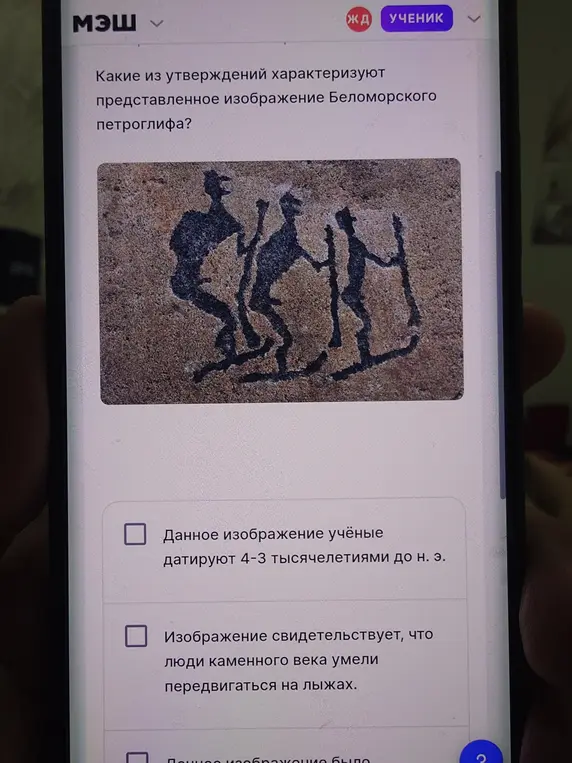 Какие утверждения характеризуют представленное изображение Беломорского петроглифа?