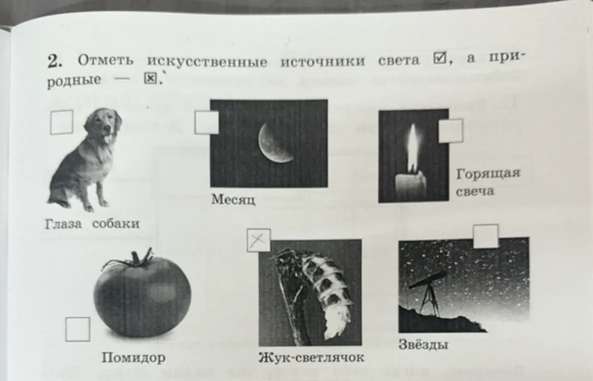 Ты просишь отметить искусственные и природные источники света.