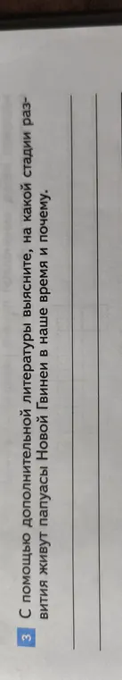 Можешь ли ты с помощью дополнительной литературы выяснить, на какой стадии развития живут папуасы Новой Гвинеи в наше время и почему?