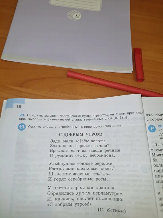 Помоги с заданием: спиши стихотворение, вставляя пропущенные буквы и расставляя знаки препинания, и укажи слова, употреблённые в переносном значении.