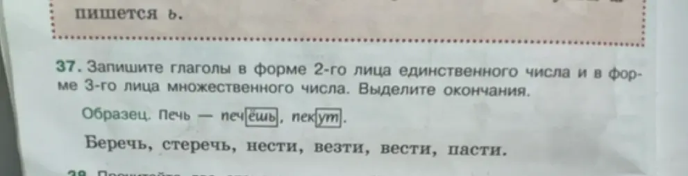 Запиши глаголы «беречь, стеречь, нести, везти, вести, пасти» в форме 2-го лица единственного числа и в форме 3-го лица множественного числа и выдели окончания