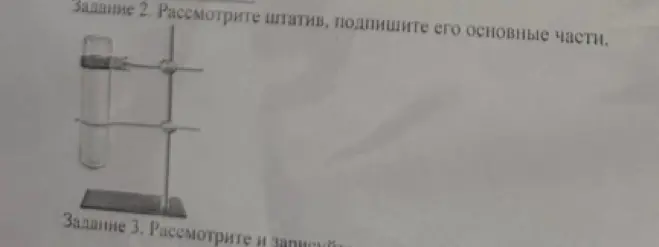 Покажи основные части штатива для пробирок