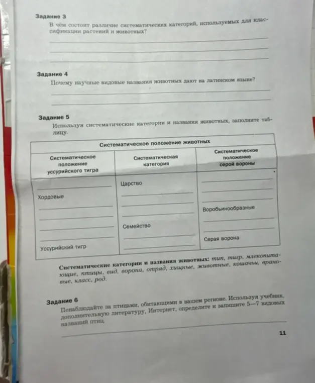 Заполни таблицу систематического положения животных: уссурийского тигра и серой вороны.