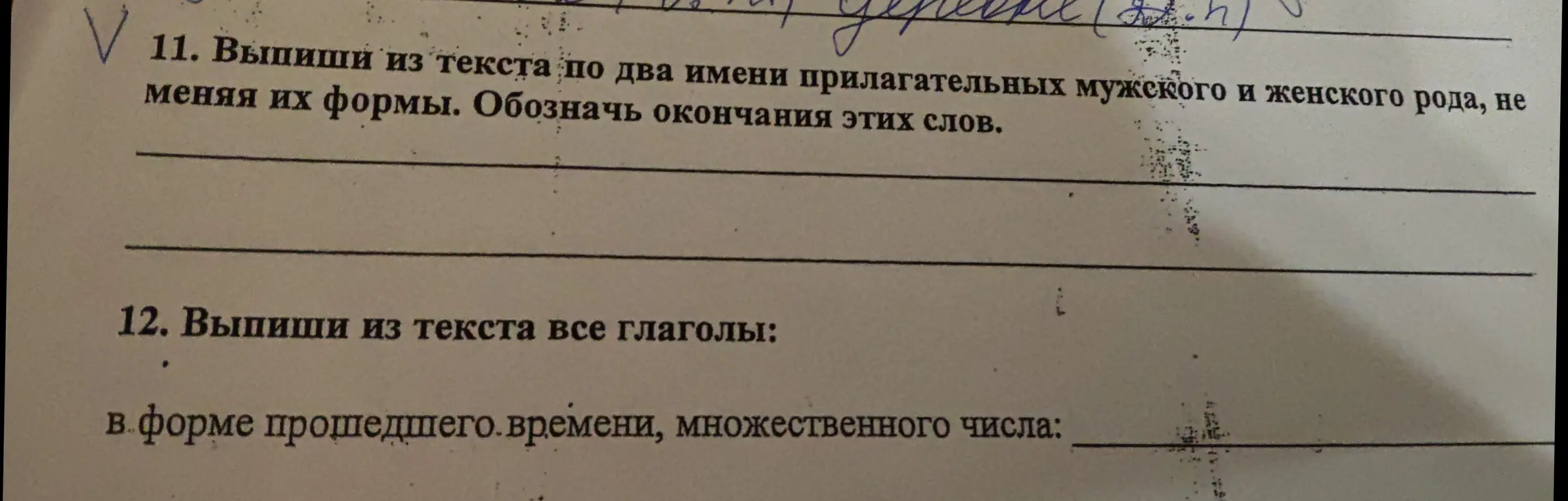 Выпиши из текста по два имени прилагательных мужского и женского рода, не меняя их формы. Обозначь окончания этих слов