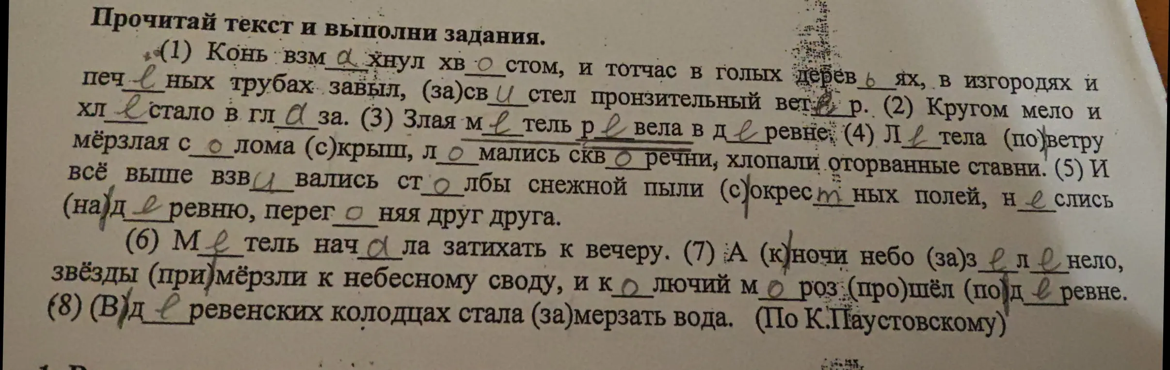 Выпиши из текста по два имени прилагательных мужского и женского рода, не меняя их формы. Обозначь окончания этих слов