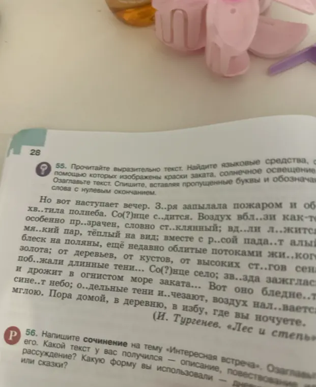 Можешь ли ты вставить пропущенные буквы в тексте, найти языковые средства, которые помогают изобразить краски заката, солнечное освещение, а также написать сочинение на тему «Интересная встреча»?