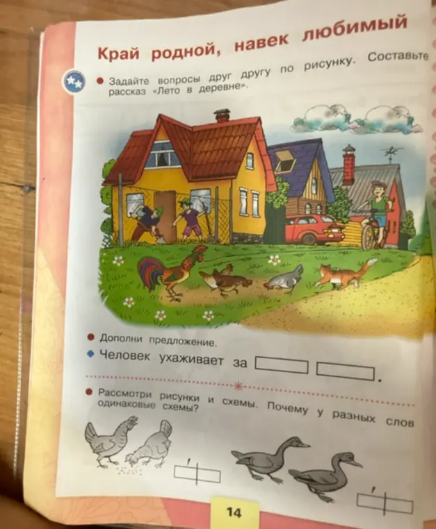 Ты просишь дополнить предложение 'Человек ухаживает за...', рассмотреть рисунки и схемы, а также объяснить, почему у разных слов одинаковые схемы.