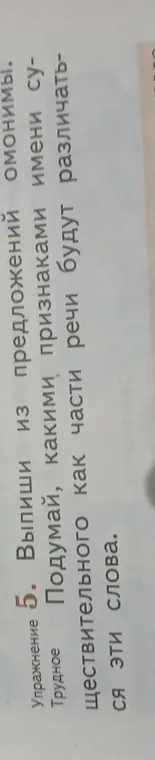 Ты просишь подумать, какими признаками имени существительного как части речи будут различаться слова-омонимы.