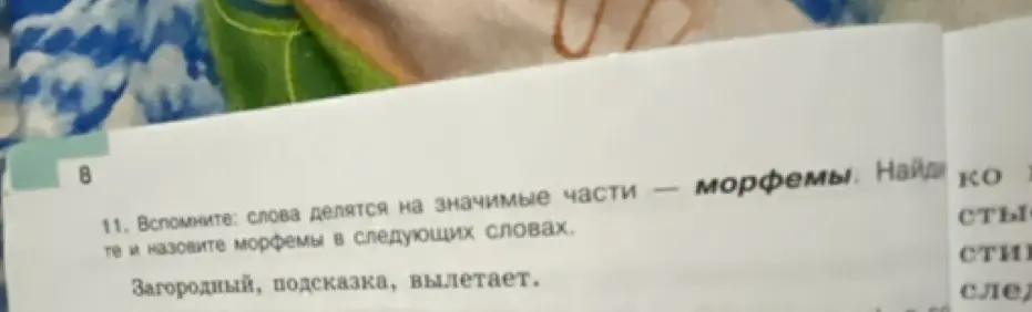 Ты просишь найти и назвать морфемы в словах: загородный, подсказка, вылетает.