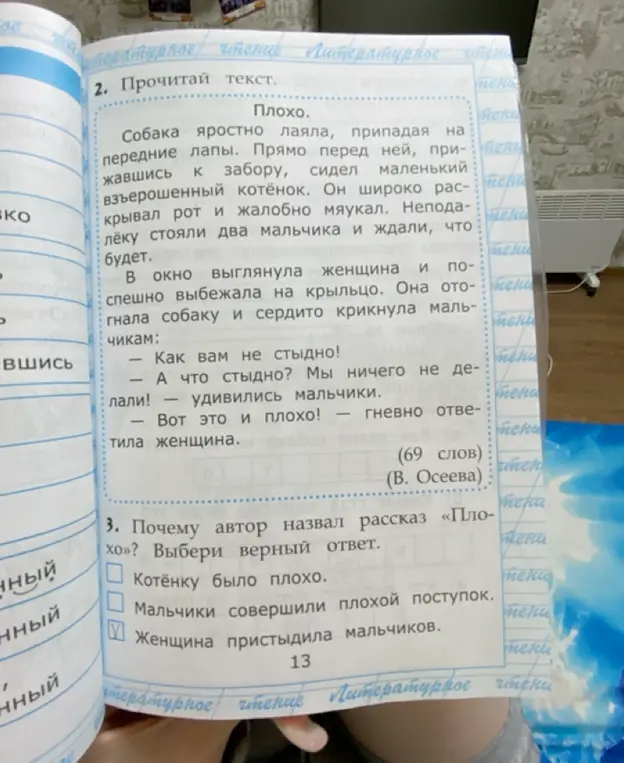 Почему автор назвал рассказ «Плохо»? Выбери верный ответ.