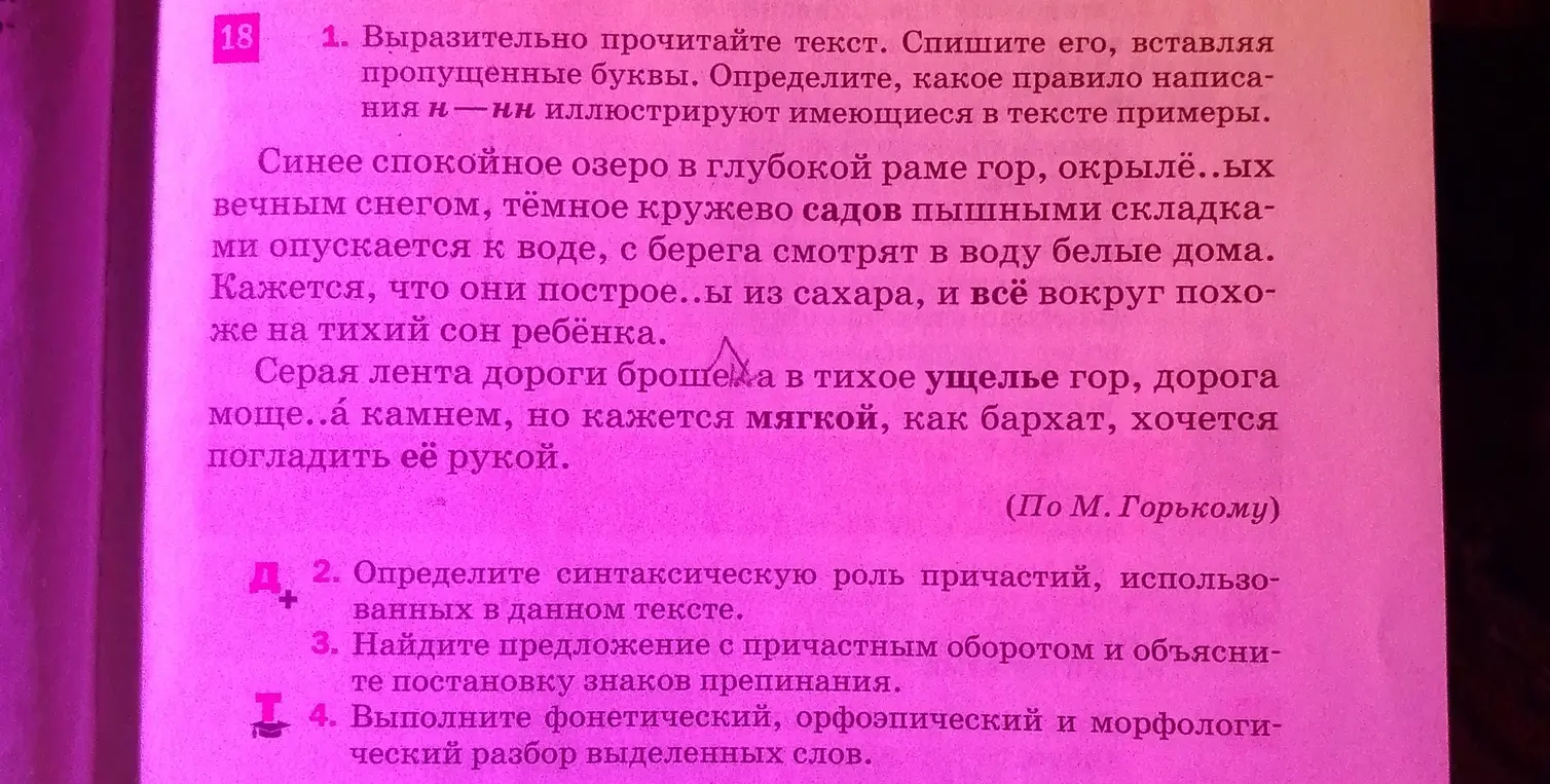Выполни задание 1, 2, 3 и 4 из упражнения про текст про озеро.