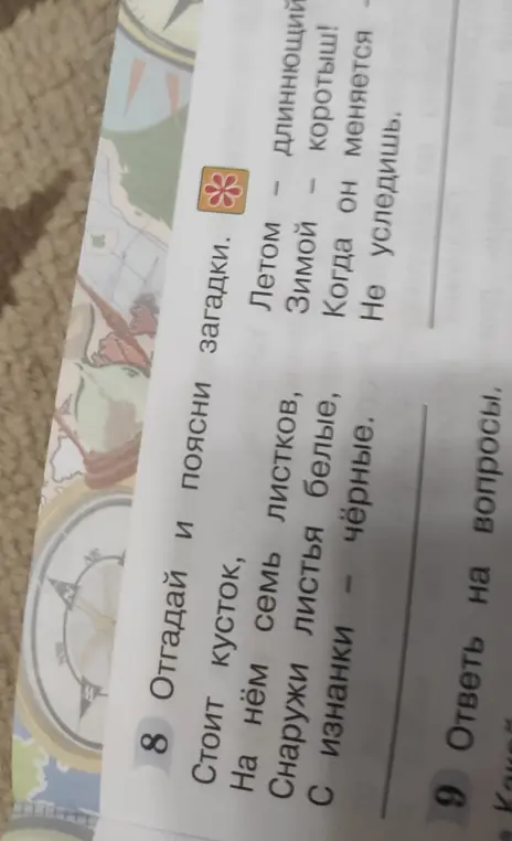 Отгадай и поясни загадки