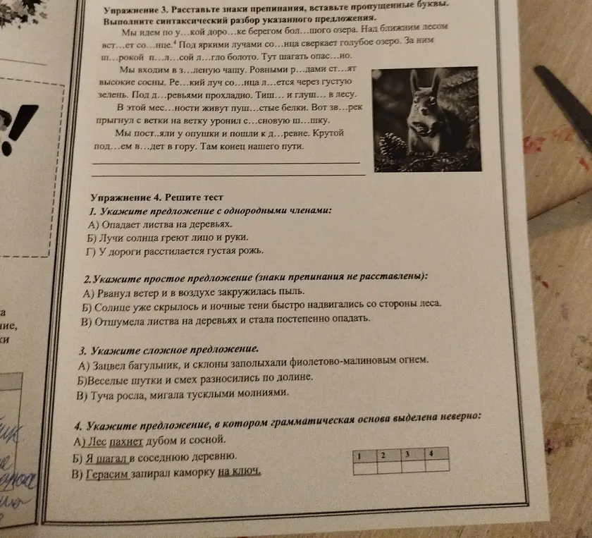 Укажи предложение с однородными членами.