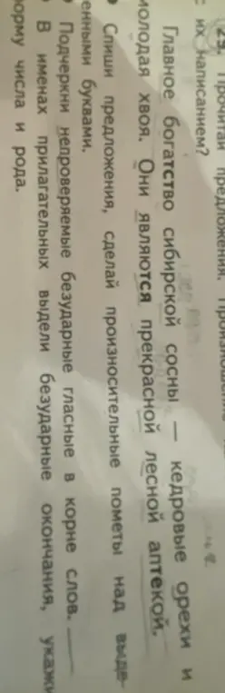 Ты просишь списать предложения, сделать произносительные пометы над выделенными буквами, подчеркнуть непроверяемые безударные гласные в корне слов и в именах прилагательных выделить безударные окончания, указать форму числа и рода.