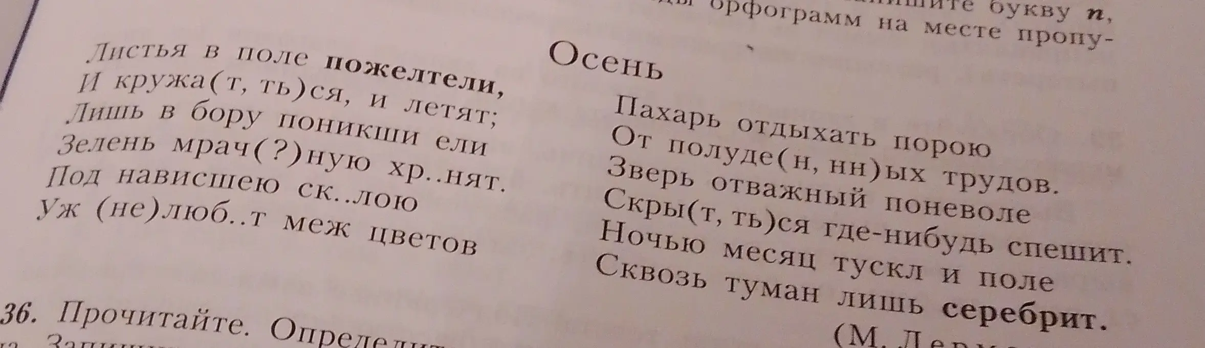 Ты просишь вставить пропущенные буквы в стихотворениях.