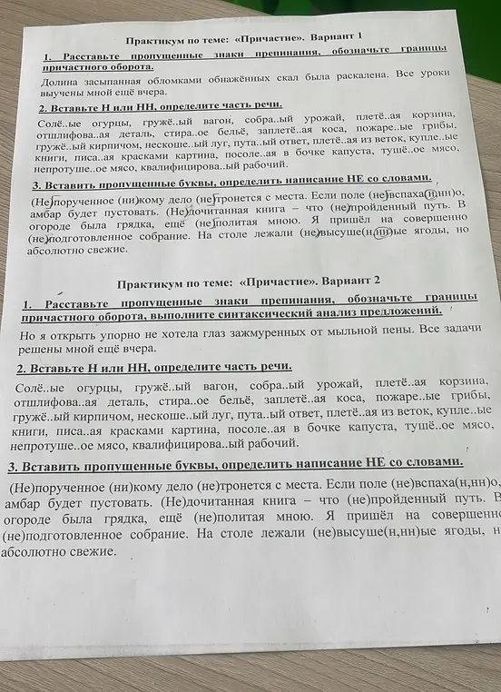 Выполни для каждого варианта задания: расставь пропущенные знаки препинания, вставь Н или НН, вставь пропущенные буквы, определи написание НЕ со словами.