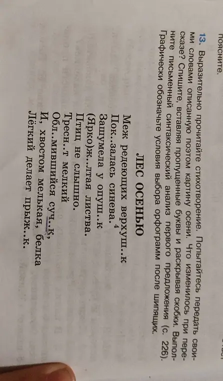 Можешь ли ты помочь мне в 13 задании? Нужно вставить пропущенные буквы и выполнить синтаксический анализ первого предложения.