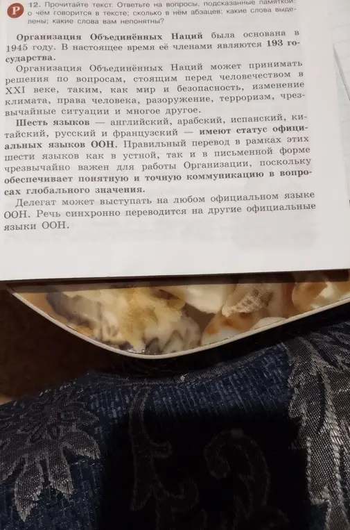 Можешь ли ты ответить на вопросы по тексту про Организацию Объединённых Наций: о чём говорится в тексте, сколько в нём абзацев, какие слова выделены и какие слова мне непонятны?