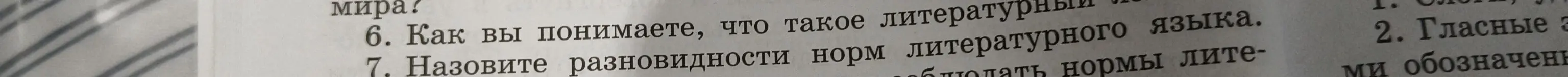 Как ты понимаешь, что такое литературный язык?