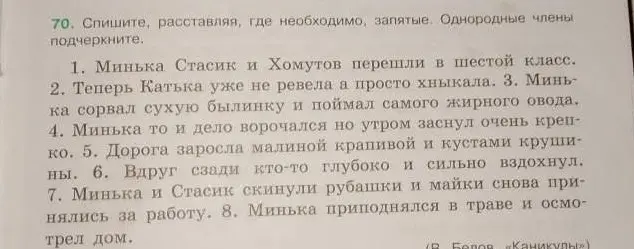 Ты просишь расставить запятые и подчеркнуть однородные члены в предложениях.