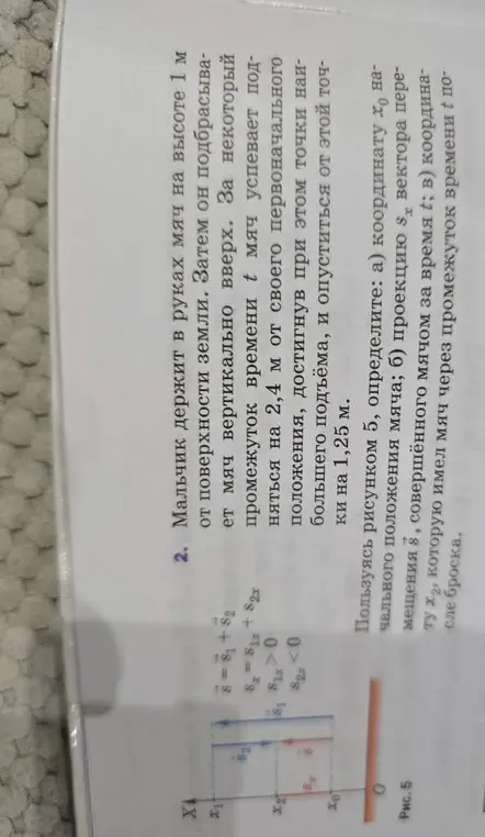 Определи координату начального положения мяча, проекцию вектора перемещения, координату мяча через промежуток времени t.