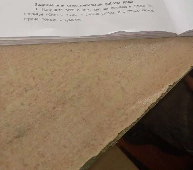 Ты просишь написать эссе о том, как я понимаю смысл пословицы «Сильна казна - сильна страна, а с тощею казною страна пойдёт с сумою».