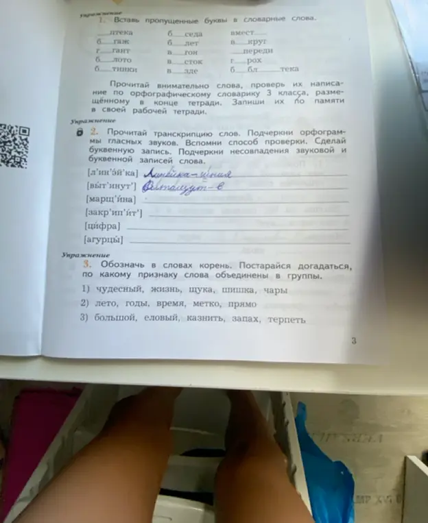 Выполни упражнения: вставь пропущенные буквы в словарные слова.