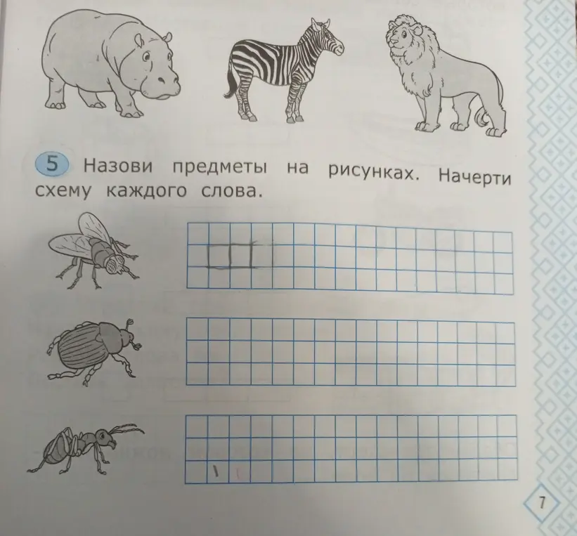 Ты просишь меня нарисовать схемы каждого слова на картинках из задания номер 5