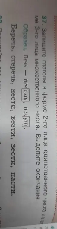 Ты просишь записать глаголы «беречь, стеречь, нести, везти, вести, пасти» в форме 2-го лица единственного числа и в форме 3-го лица множественного числа