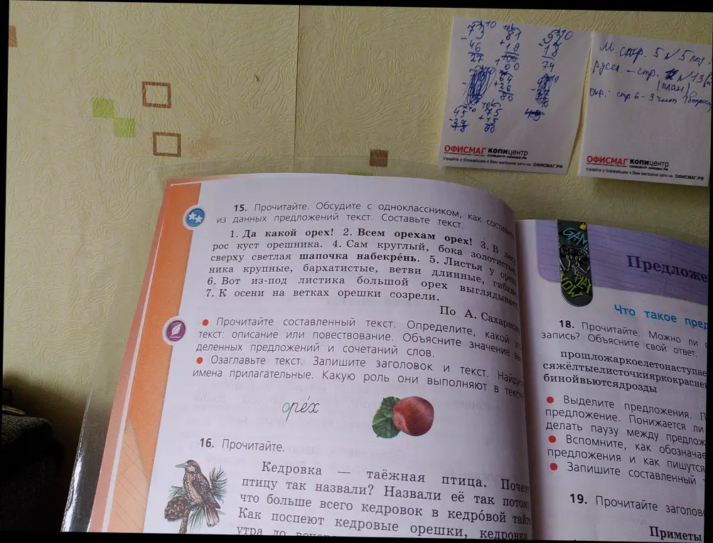 Прочитай текст о орехе, определи, какой это текст, озаглавь текст, запиши заголовок и текст, найди имена прилагательные. Прочитай текст о кедровке. Можно ли прочитать запись в задании 18?
