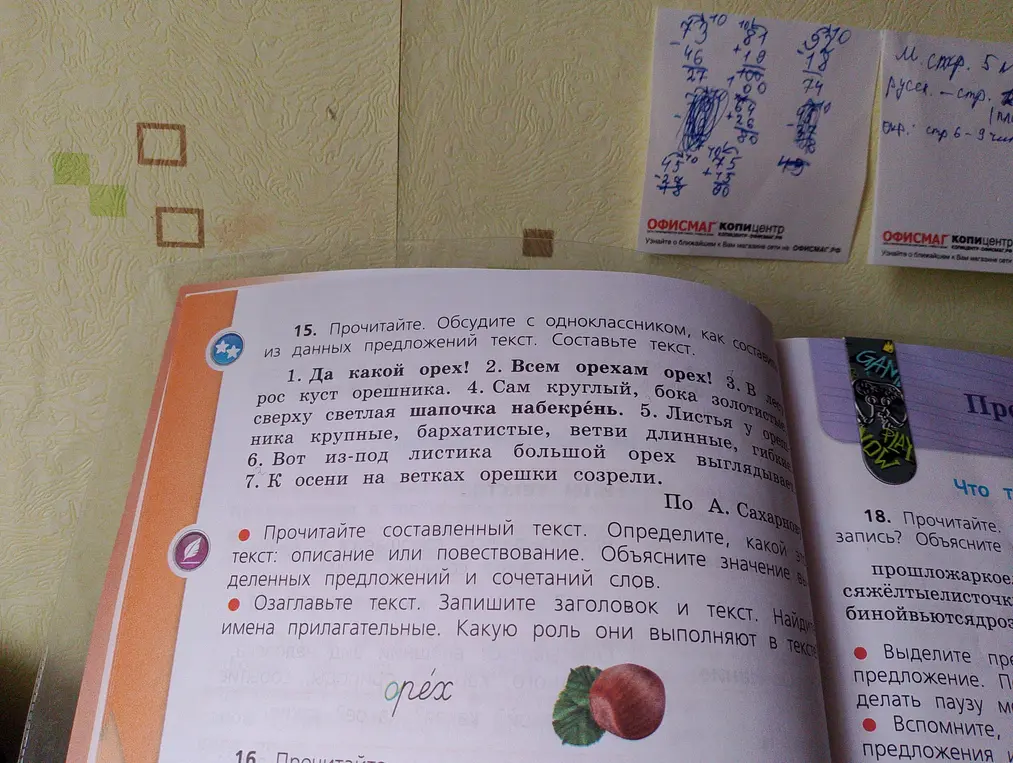 Составь текст из данных предложений про орех.